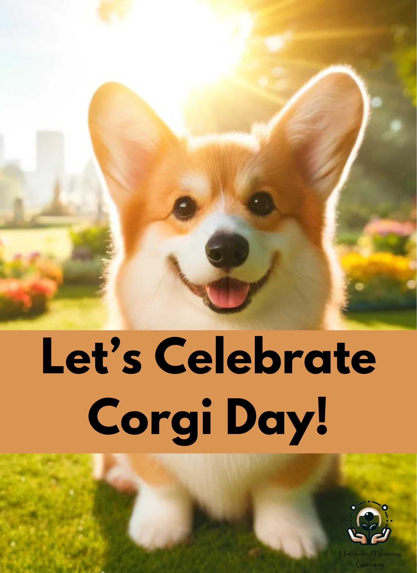 All About Corgi Dogs