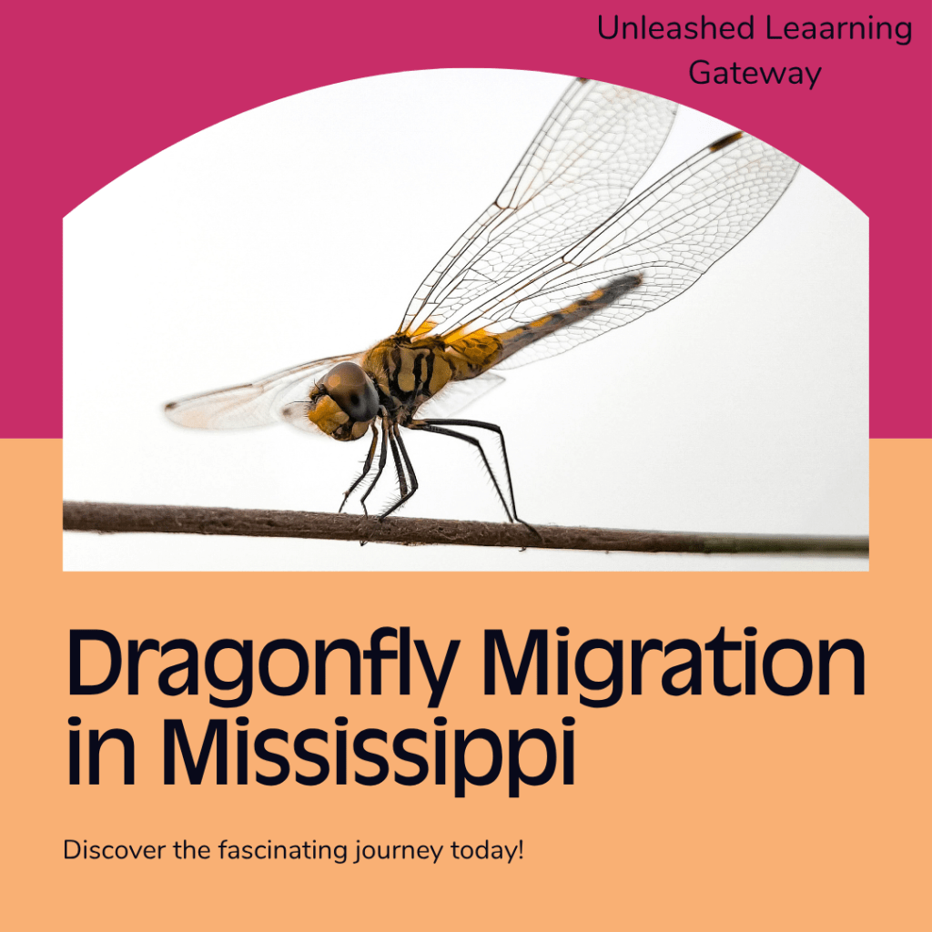 Dragonfly Migration in Mississippi- Discover the fascinating journey today!