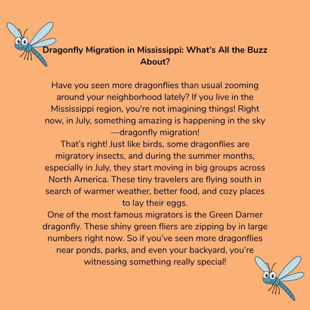 Dragonfly Migration in Mississippi: What's All the Buzz About?