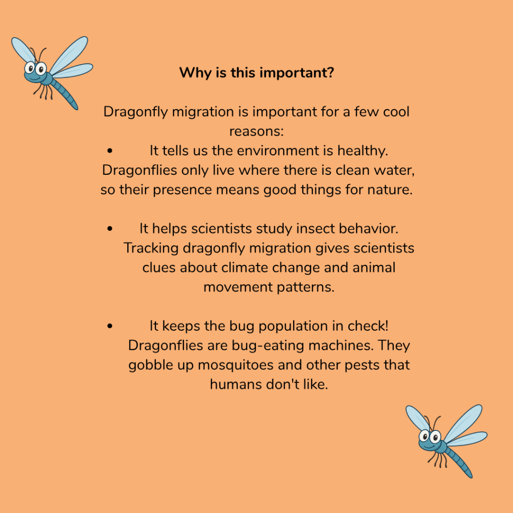 Why is this Important?