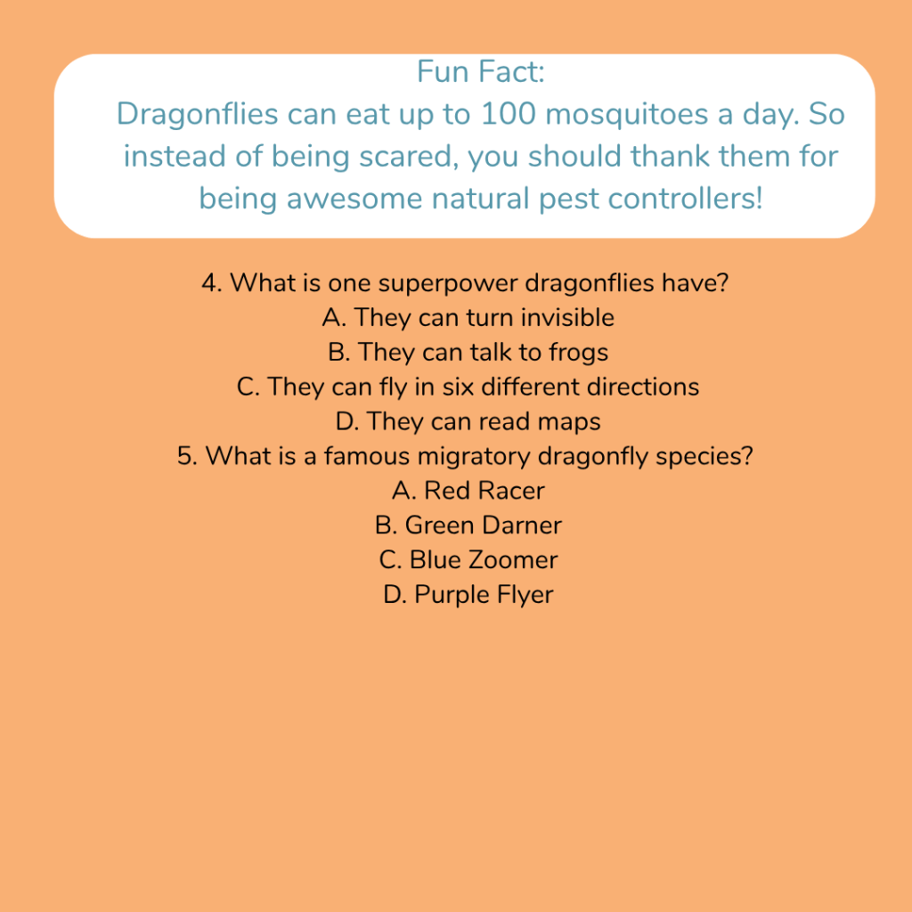 Fun Fact: Dragonflies can eat up to 100 mosquitoes a day.